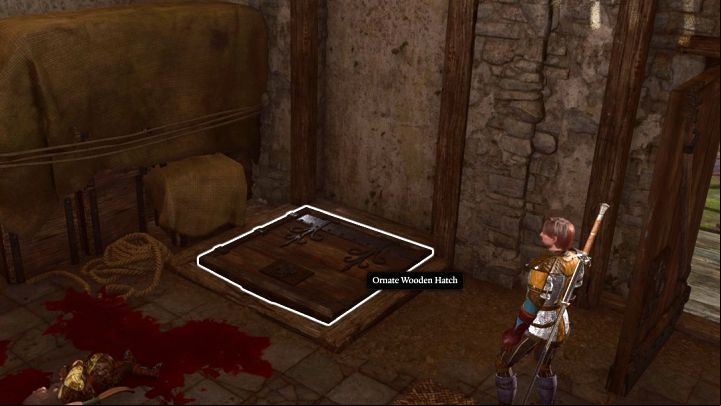 5 - Baldurs Gate 3: Toll House Basement secret room - Puzzles - Baldurs Gate 3 Guide, Walkthrough
